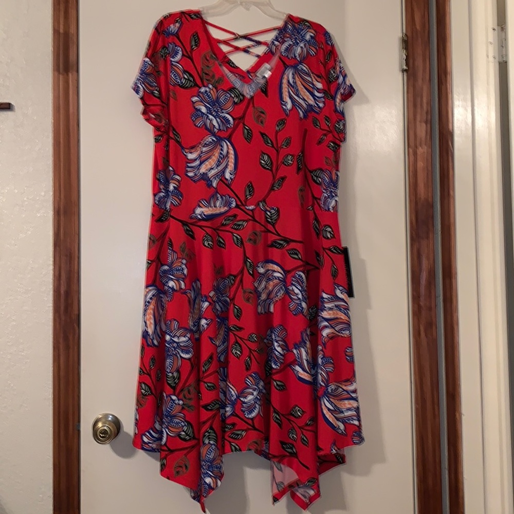 Red Avenue floral dress, size 18/20